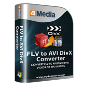 4Media FLV to AVI DivX Converter