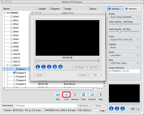 4Media DVD Ripper For Mac