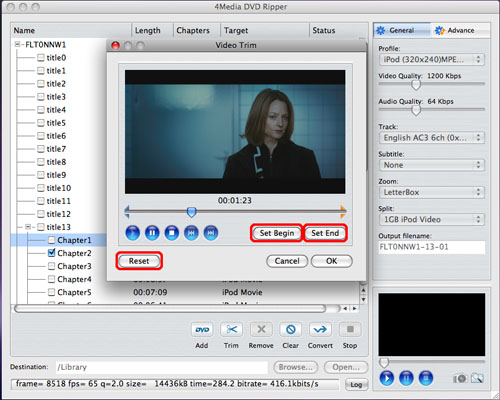 4Media DVD Ripper For Mac