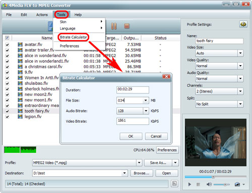 Convert FLV to MPEG format