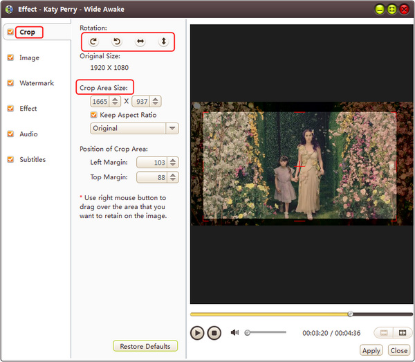 AVI MPEG WMV video converting