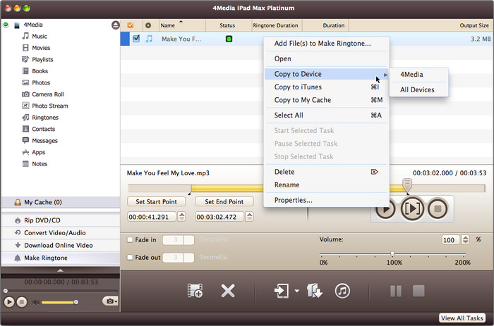 4Media iPad Max Platinum for Mac