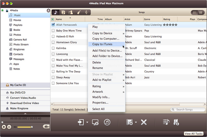 4Media iPad Max Platinum for Mac