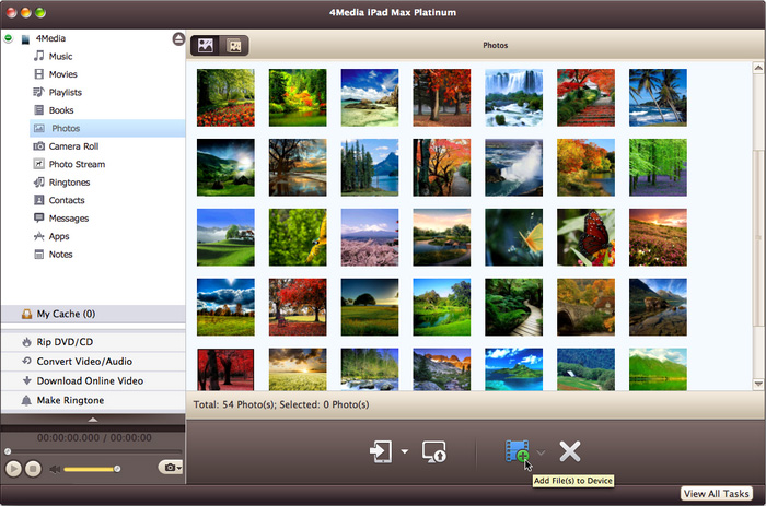 4Media iPad Max Platinum for Mac